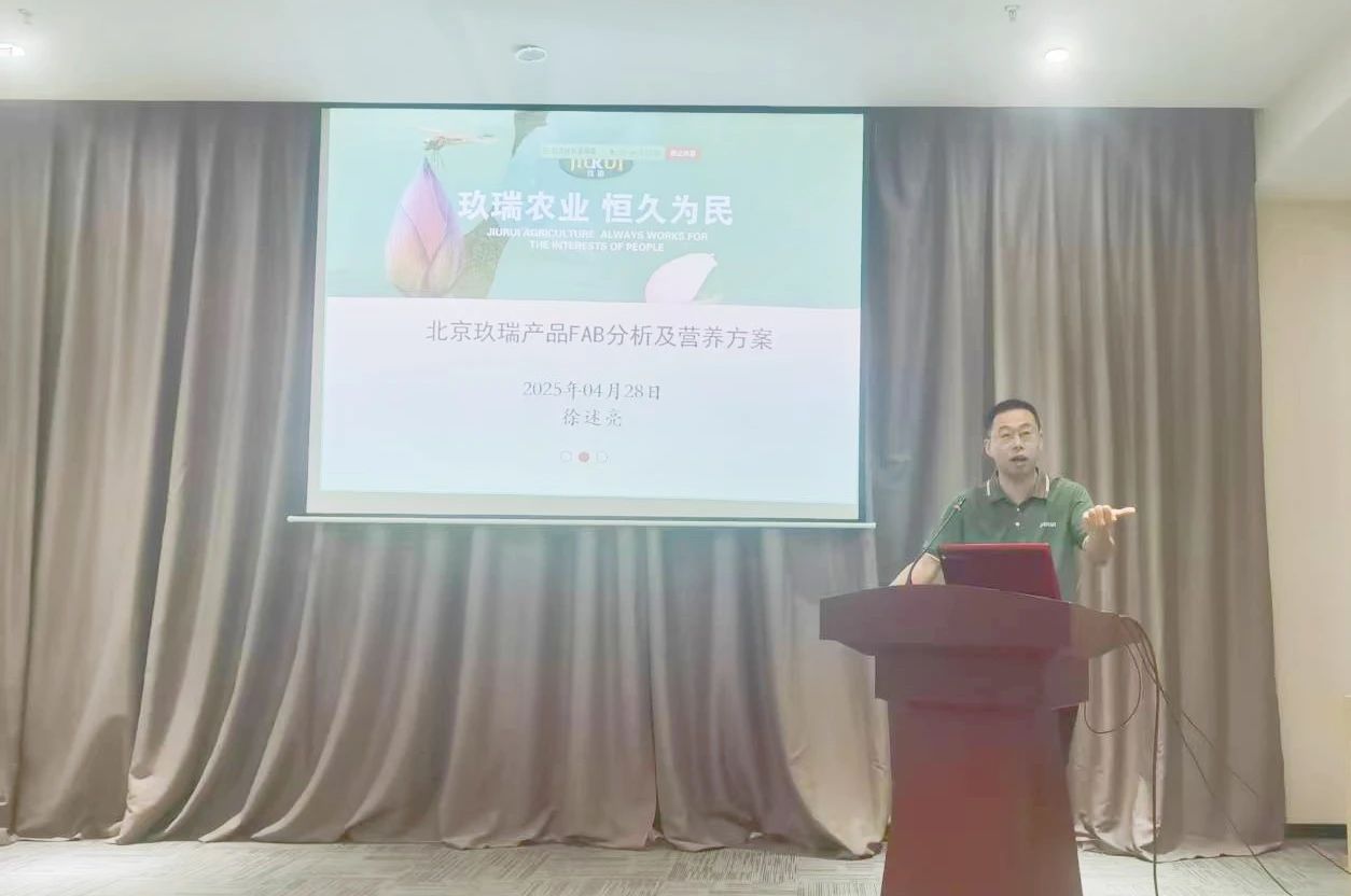3-25050PT41c36 BEATS(中国区)唯一官方网站