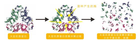 1-20050Q14224525 BEATS(中国区)唯一官方网站