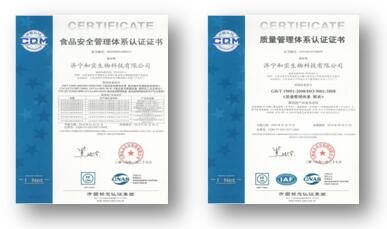 1-20050Q151544M BEATS(中国区)唯一官方网站